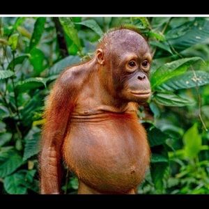 Meet your Posher, Lynn